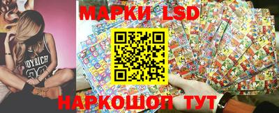 амфетамин Гатчина