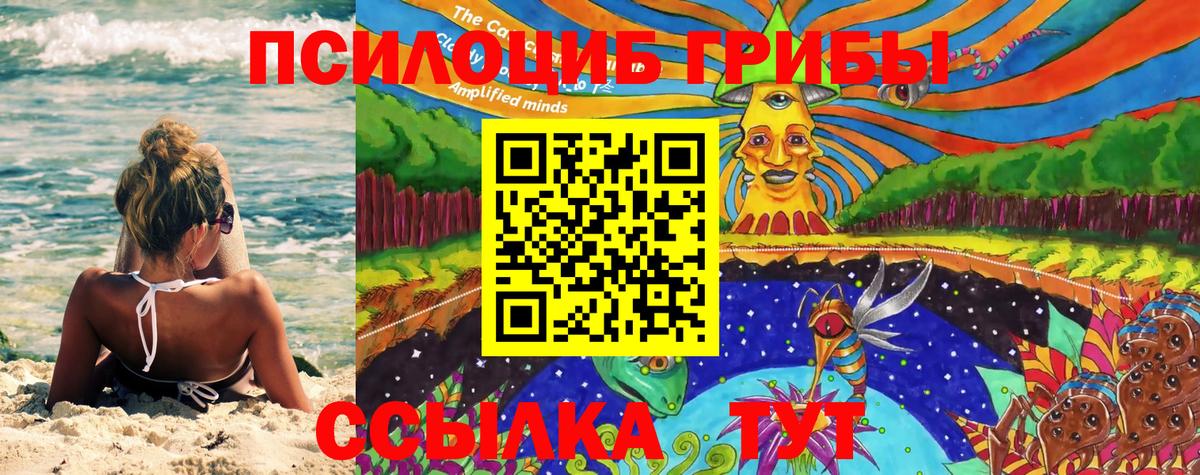 Псилоцибиновые грибы GOLDEN TEACHER  Вход с VPN  магазин продажи   Ленинск-Кузнецкий  Галлюциногенные грибы Cubensis 